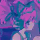 pink hair anime girl with cat ears