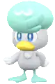 Quaxly standing idle