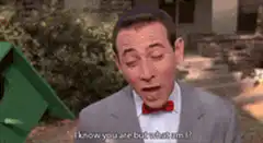 I know you are but what am I?