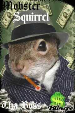 Mobster Squirrel Tha Boss