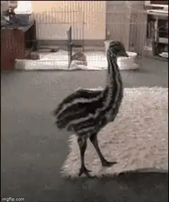 Emu dancing with crypto text