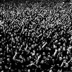 black and white crowd cheering