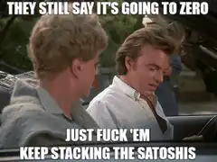 Just Fuck 'Em Keep Stacking The Satoshis