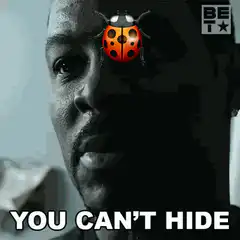 You Can't Hide Ladybug