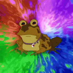 Psychedelic frog with swirling colors