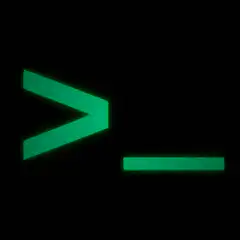 green terminal cursor blinking