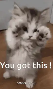 Fluffy kitten waving good luck