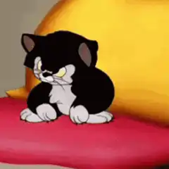 Tough Kitty Cat