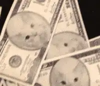 Cat face on hundred dollar bills