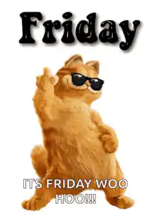 Cool Cat Friday Woo Hoo