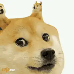Doge with smaller doges on head