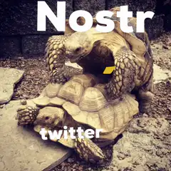 Nostr vs Twitter turtles