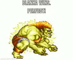 Blanka wins perfect