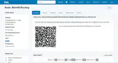 Bitfinex Node Details Page