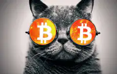 Cat wearing Bitcoin sunglasses