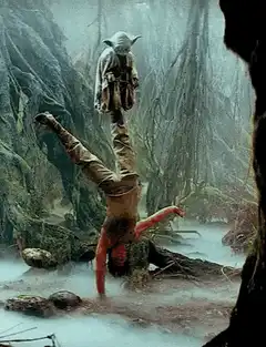 Yoda on Luke's foot