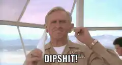 DIPSHIT! Navy SEALs earplugs