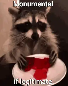 Monumental if legitimate raccoon