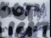 Nostr.build glitch art animation