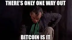 There's Only One Way Out Bitcoin Is It