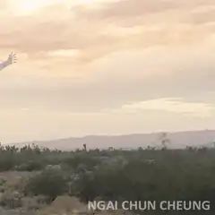 Woman doing cartwheel in desert