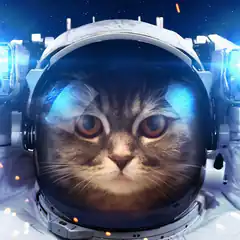 cat in astronaut helmet space