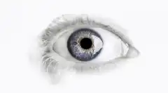Eye zooming into math equations