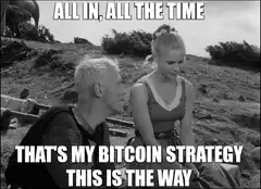 All In Bitcoin Strategy This Is The Way