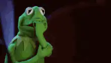 Kermit the Frog thinking