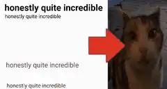 Honestly Quite Incredible Cat