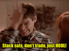 Marty McFly yelling Stack sats don't trade just HODL