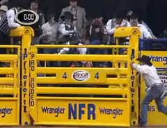 Bull rider at NFR