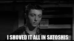 I Shoved It All In Satoshis