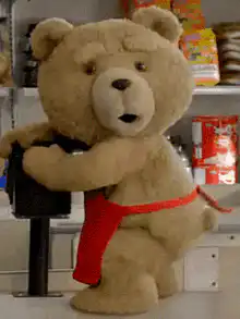 Ted the bear with a red strap
