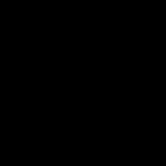 Nipflex Bitcoin Logo Animation