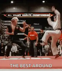 Terry Silver vs Johnny Lawrence kick
