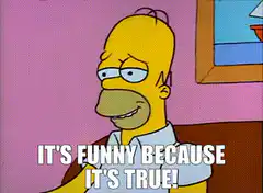 Homer Simpson It's Funny Because It's True
