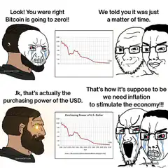 Bitcoin to zero vs USD purchasing power