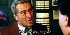 What are you, stupid?