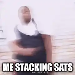 Me Stacking Sats Meme