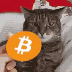 Cat with Bitcoin on head