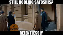 Still Hodling Satoshis Relentlessly