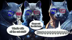 Three armored cats with FJB sunglasses