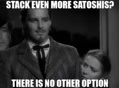 There Is No Other Option Bitcoin Meme