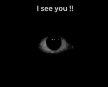 I see you eye animation