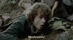 Frodo discovers mushrooms