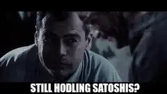 Still Hodling Satoshis?