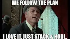 We Follow The Plan Just Stack And HODL
