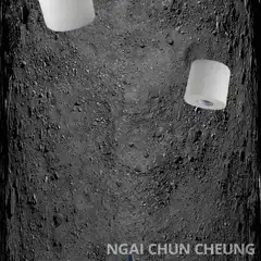 SpaceX Starship and toilet paper on the moon