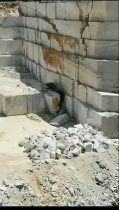 Cat stuck in marble quarry wall